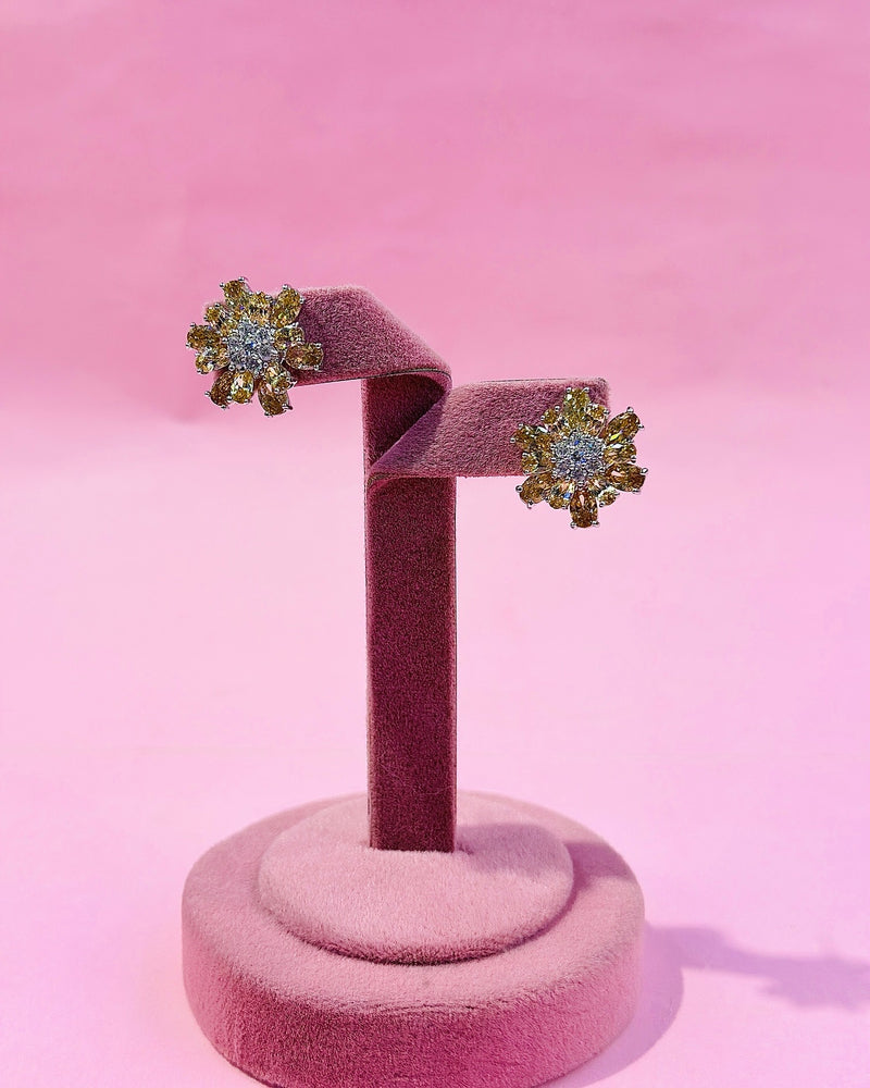 livia studs